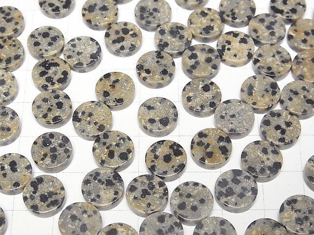 [Video] Dalmatian Jasper Undrilled Flat Coin 10x10mm 5pcs