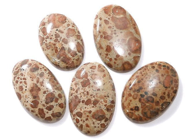 [Video][One of a kind] Asteroid Jasper Cabochon 5pcs Set NO.26