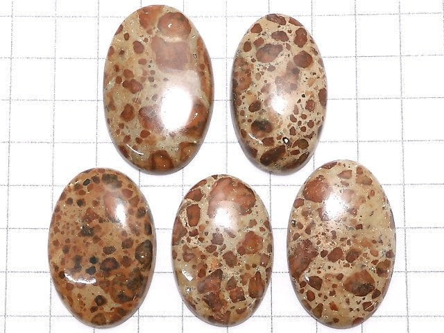 [Video][One of a kind] Asteroid Jasper Cabochon 5pcs Set NO.26