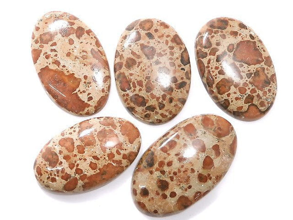 [Video][One of a kind] Asteroid Jasper Cabochon 5pcs Set NO.27