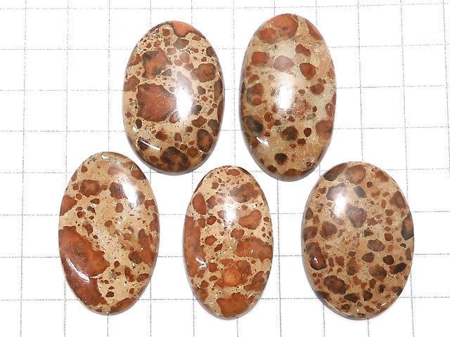 [Video][One of a kind] Asteroid Jasper Cabochon 5pcs Set NO.27