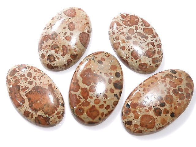 [Video][One of a kind] Asteroid Jasper Cabochon 5pcs Set NO.28