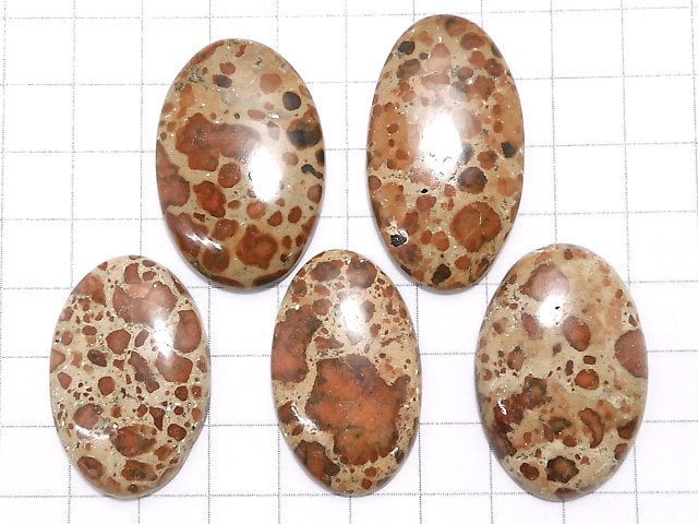 [Video][One of a kind] Asteroid Jasper Cabochon 5pcs Set NO.28