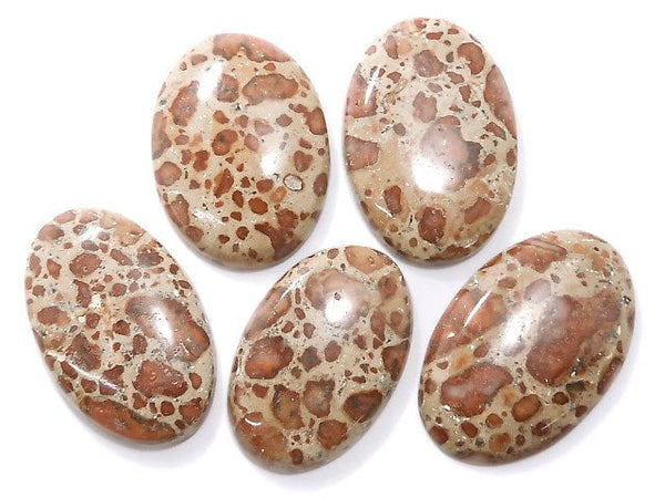 [Video][One of a kind] Asteroid Jasper Cabochon 5pcs Set NO.29