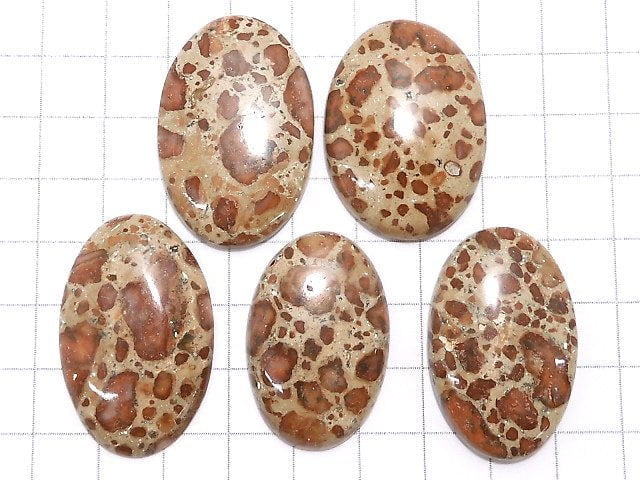 [Video][One of a kind] Asteroid Jasper Cabochon 5pcs Set NO.29