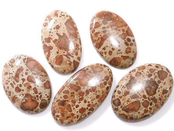 [Video][One of a kind] Asteroid Jasper Cabochon 5pcs Set NO.32