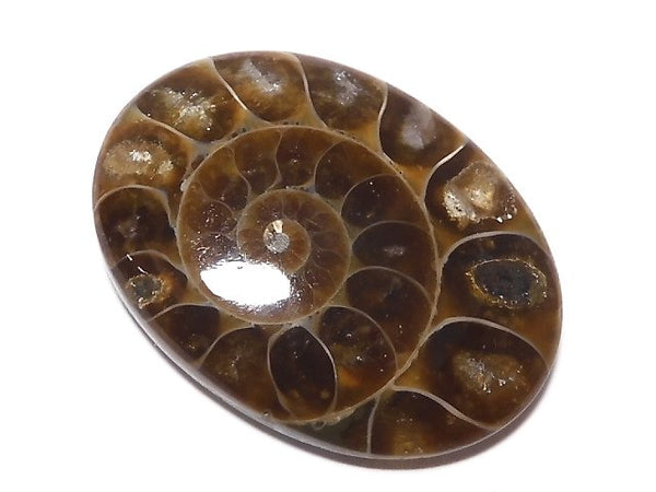 [Video][One of a kind] Ammonite Loose stone 1pc NO.140