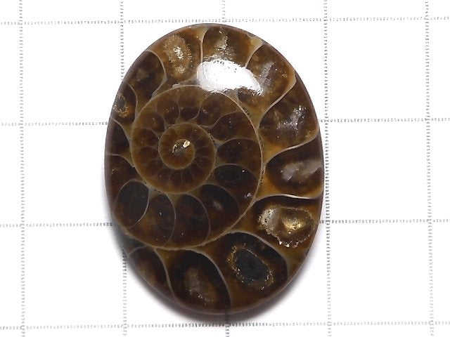 [Video][One of a kind] Ammonite Loose stone 1pc NO.140