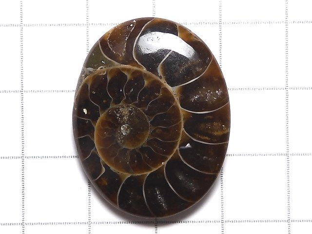 [Video][One of a kind] Ammonite Loose stone 1pc NO.144