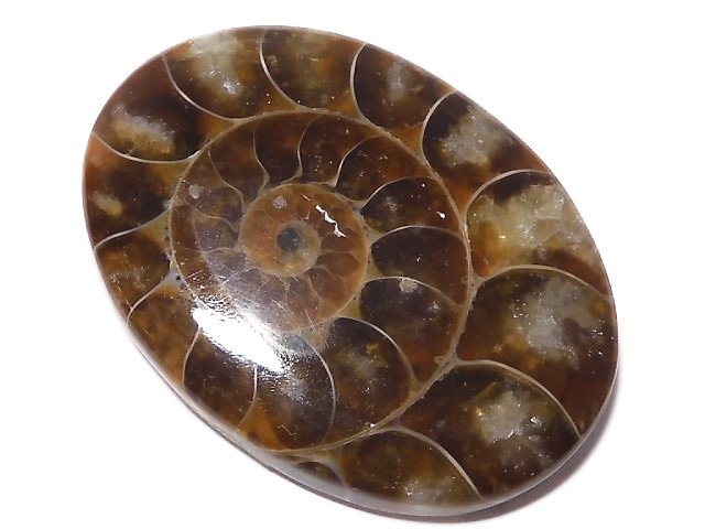 [Video][One of a kind] Ammonite Loose stone 1pc NO.148