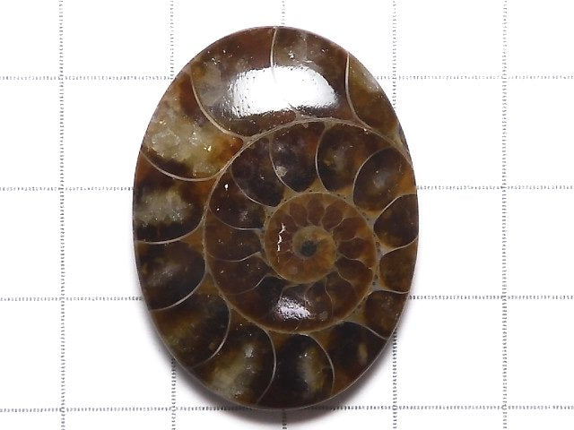 [Video][One of a kind] Ammonite Loose stone 1pc NO.148