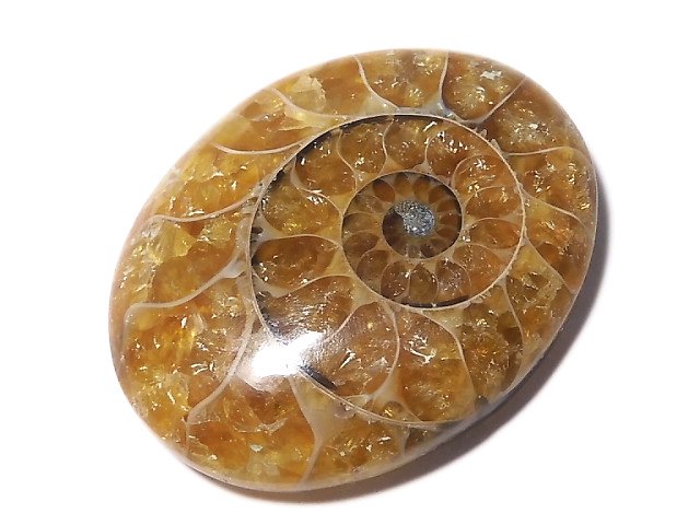 [Video][One of a kind] Ammonite Loose stone 1pc NO.149