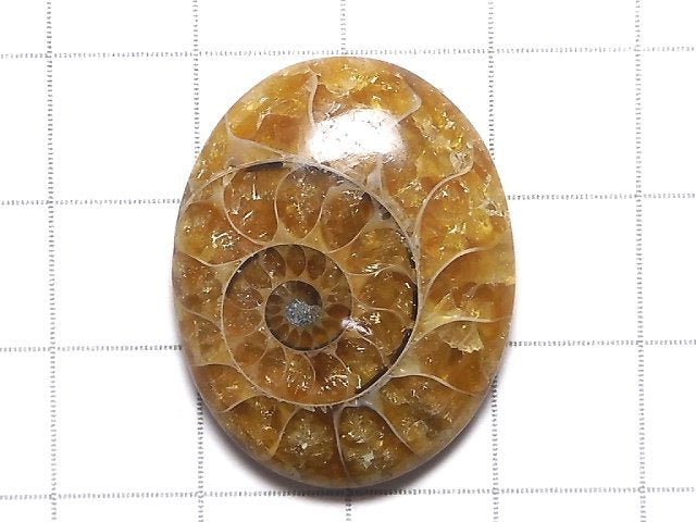 [Video][One of a kind] Ammonite Loose stone 1pc NO.149