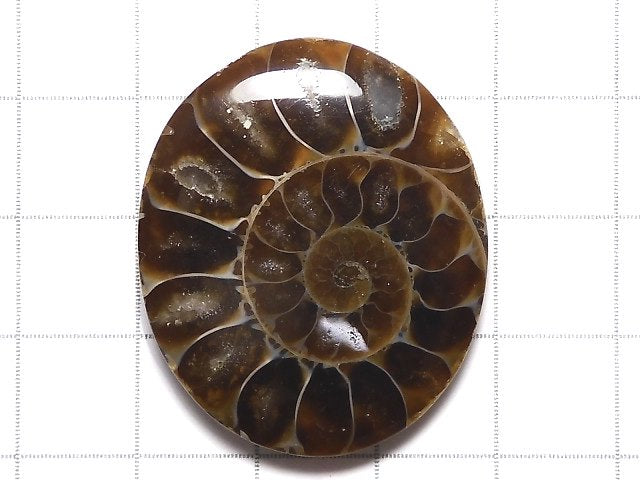 [Video][One of a kind] Ammonite Loose stone 1pc NO.150