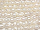 [Video] Fresh Water Pearl AA Wrinkle Natural Drop 7x6x6mm White 1strand beads (aprx.15inch/36cm)