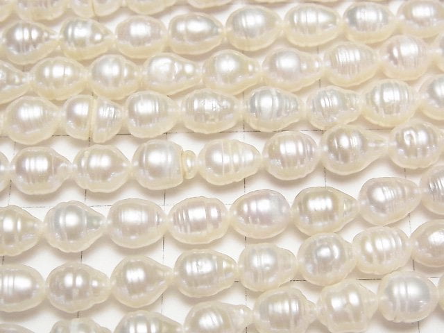 [Video] Fresh Water Pearl AA Wrinkle Natural Drop 7x6x6mm White 1strand beads (aprx.15inch/36cm)