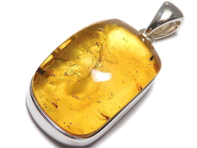 [Video][One of a kind] Insect Baltic Amber Pendant Silver925 NO.101