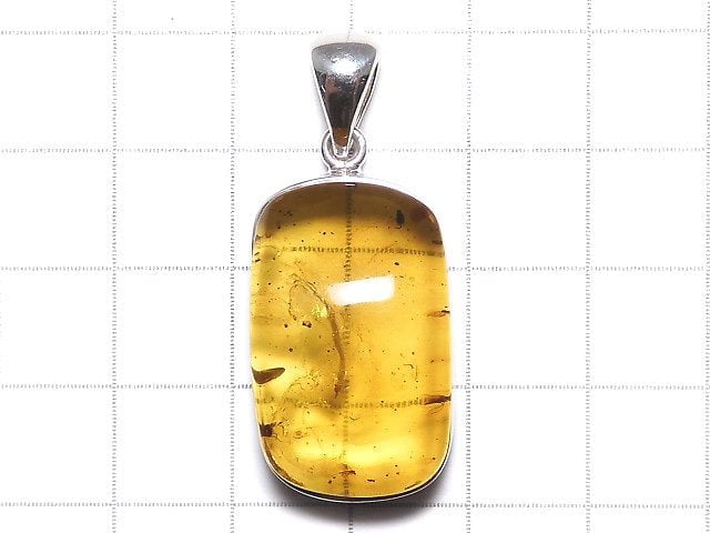 [Video][One of a kind] Insect Baltic Amber Pendant Silver925 NO.101