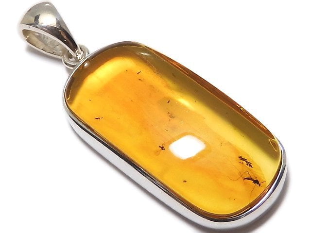 [Video][One of a kind] Insect Baltic Amber Pendant Silver925 NO.102