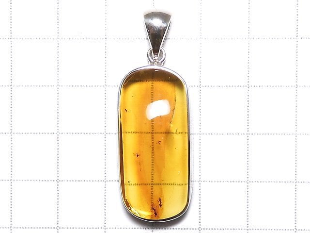 [Video][One of a kind] Insect Baltic Amber Pendant Silver925 NO.102