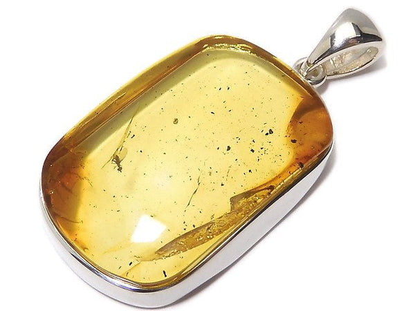 [Video][One of a kind] Insect Baltic Amber Pendant Silver925 NO.104