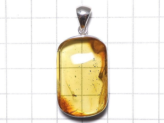 [Video][One of a kind] Insect Baltic Amber Pendant Silver925 NO.104