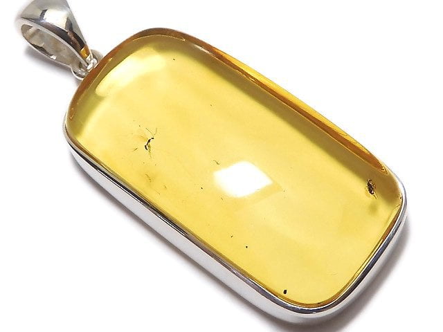 [Video][One of a kind] Insect Baltic Amber Pendant Silver925 NO.105