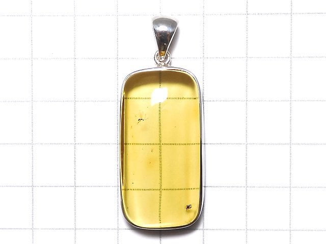 [Video][One of a kind] Insect Baltic Amber Pendant Silver925 NO.105