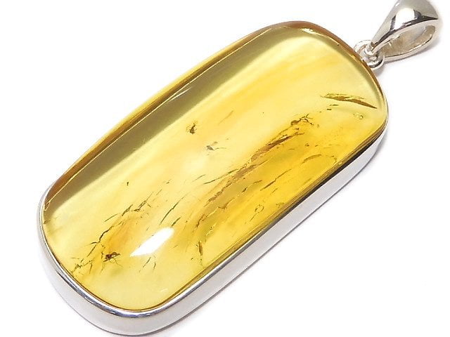 [Video][One of a kind] Insect Baltic Amber Pendant Silver925 NO.106