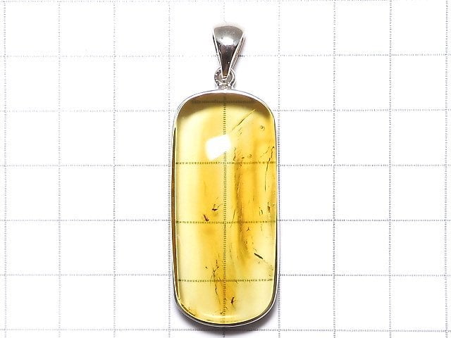 [Video][One of a kind] Insect Baltic Amber Pendant Silver925 NO.106