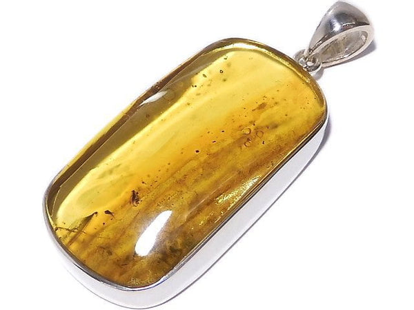 [Video][One of a kind] Insect Baltic Amber Pendant Silver925 NO.107