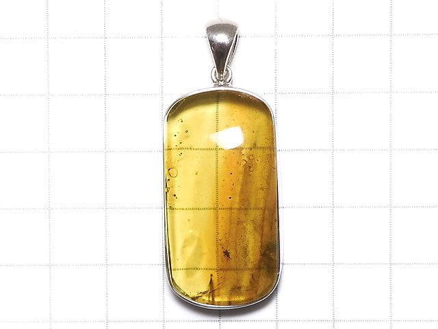 [Video][One of a kind] Insect Baltic Amber Pendant Silver925 NO.107