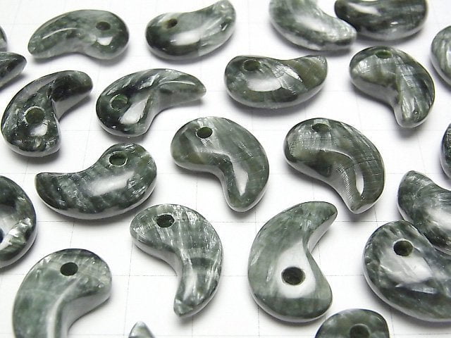 [Video] Seraphinite AAA Comma Shaped Bead 20x13mm 1pc