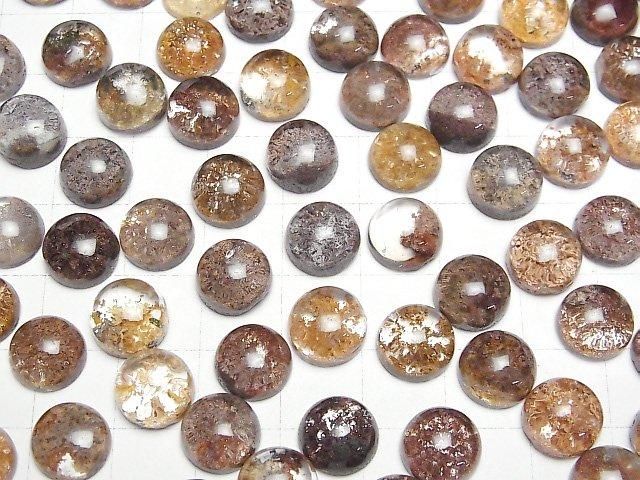 [Video] Red Garden Quartz AAA - Round Cabochon 10x10mm 2pcs