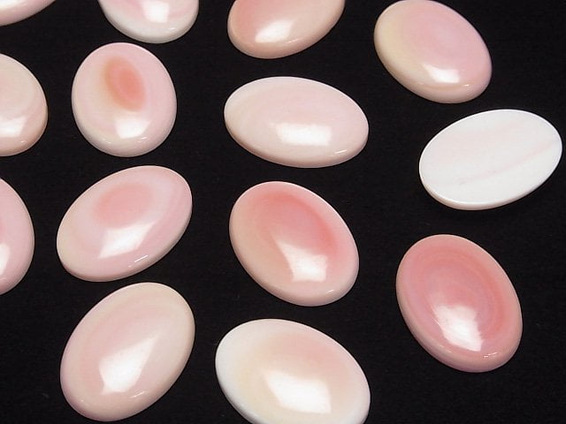 [Video] High Quality Queen Conch Shell AAA Oval Cabochon 25x18mm 1pc