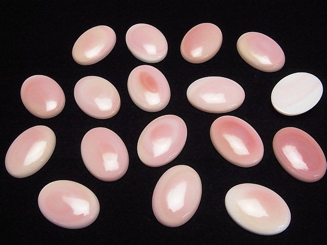 [Video] High Quality Queen Conch Shell AAA Oval Cabochon 25x18mm 1pc