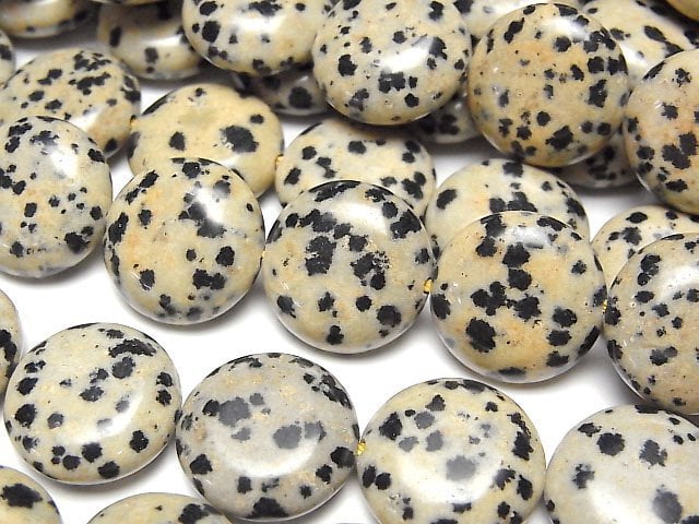 [Video] Dalmatian Jasper Coin 15x15mm 1strand beads (aprx.15inch/36cm)