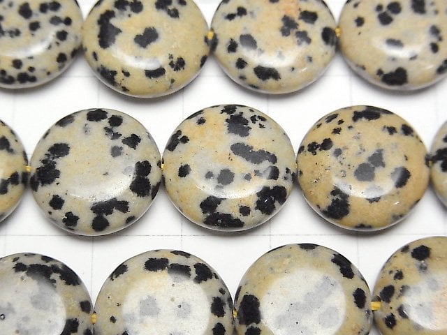 [Video] Dalmatian Jasper Coin 15x15mm 1strand beads (aprx.15inch/36cm)