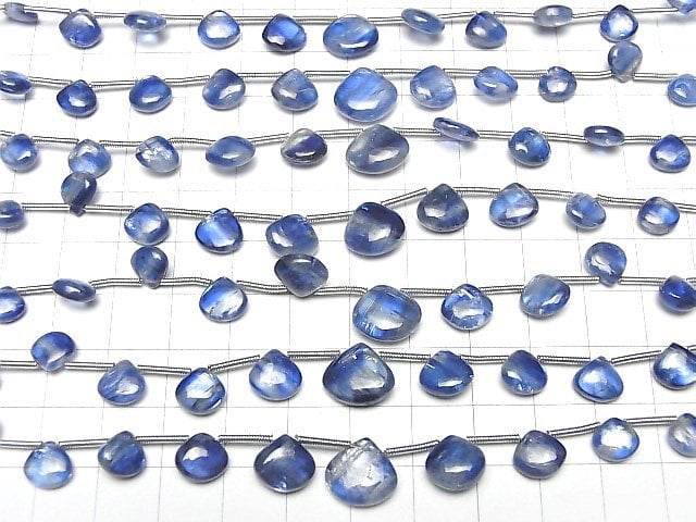 [Video]High Quality Kyanite AAA- Chestnut (Smooth) half or 1 strand (12pcs)