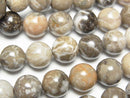 [Video]Fossil Coral Round 10mm half or 1strand beads (aprx.15inch/36cm)