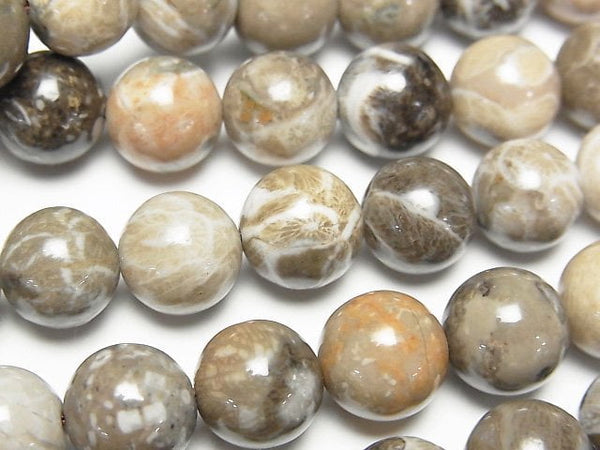 [Video]Fossil Coral Round 10mm half or 1strand beads (aprx.15inch/36cm)