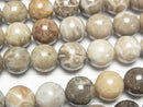 [Video]Fossil Coral Round 10mm half or 1strand beads (aprx.15inch/36cm)