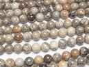 [Video]Fossil Coral Round 10mm half or 1strand beads (aprx.15inch/36cm)