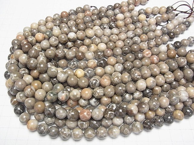[Video]Fossil Coral Round 10mm half or 1strand beads (aprx.15inch/36cm)