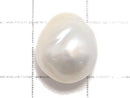 [Video][One of a kind] South Sea pearl Loose stone 1pc NO.12