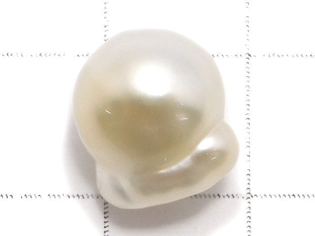 [Video][One of a kind] South Sea pearl Loose stone 1pc NO.27