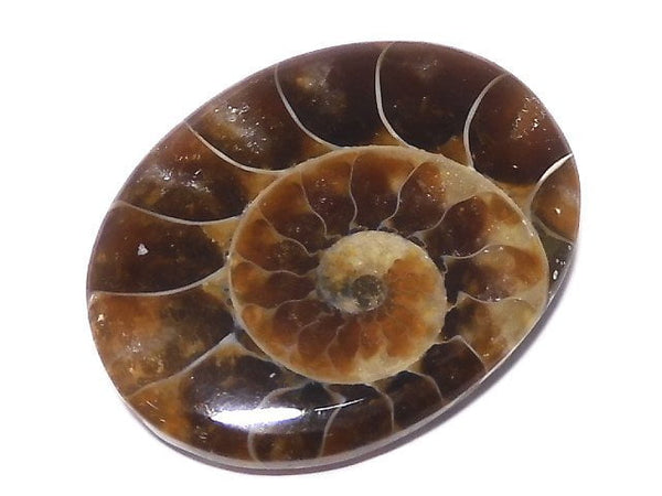 [Video][One of a kind] Ammonite Loose stone 1pc NO.154