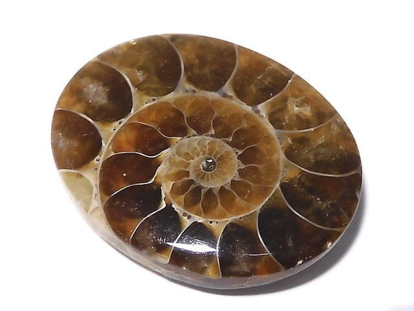 [Video][One of a kind] Ammonite Loose stone 1pc NO.156