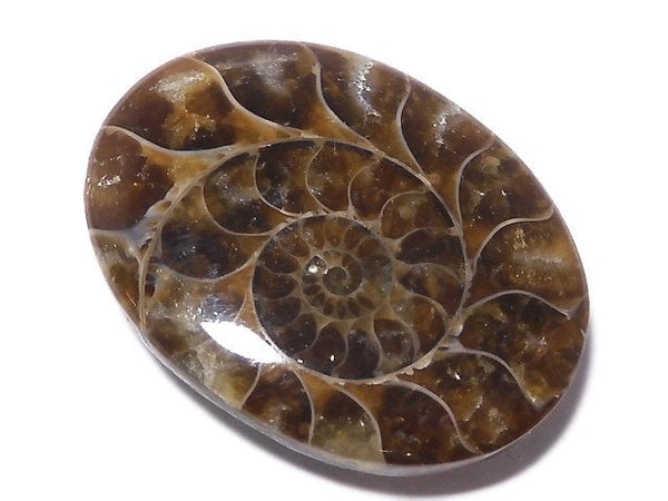 [Video][One of a kind] Ammonite Loose stone 1pc NO.158