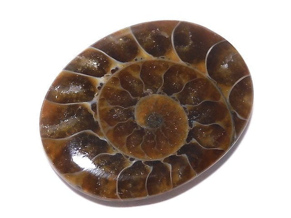 [Video][One of a kind] Ammonite Loose stone 1pc NO.159